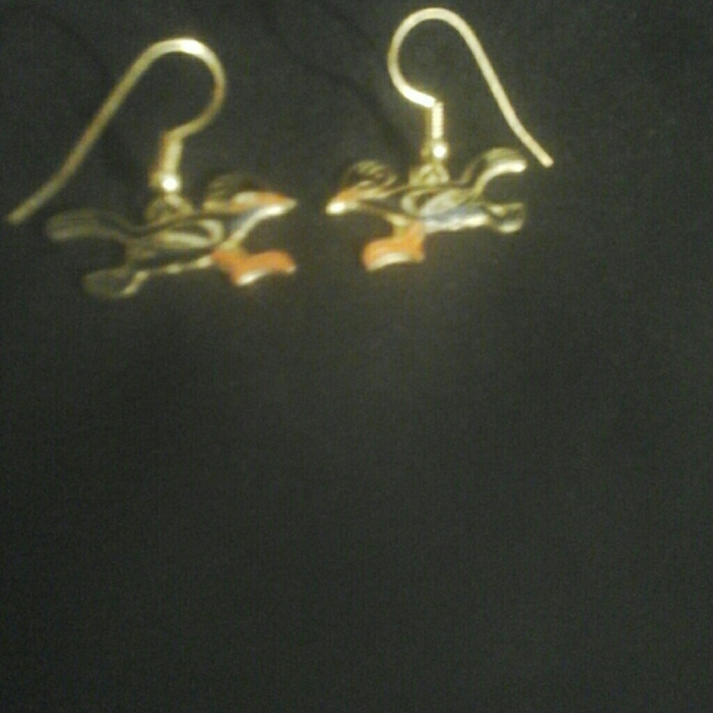Roadrunner earrings